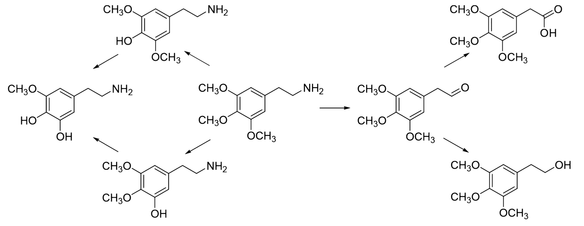 4nZEYrX02u