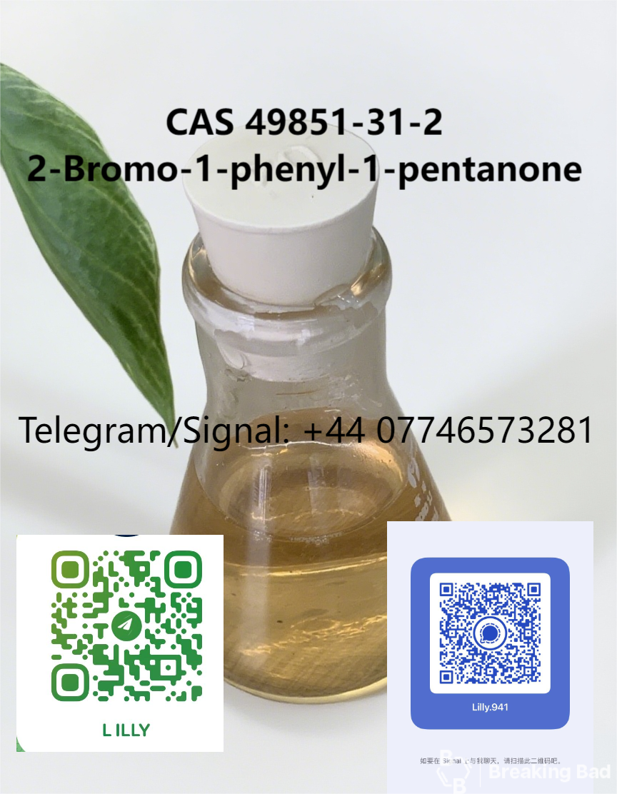 Qcu1xWP6mL